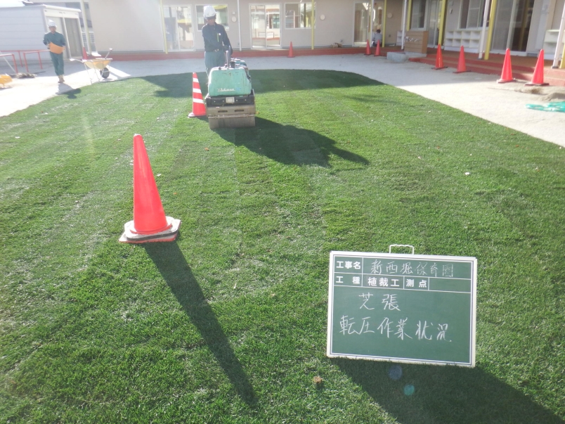 DSCF2370