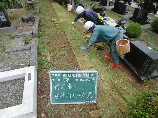 P7290371