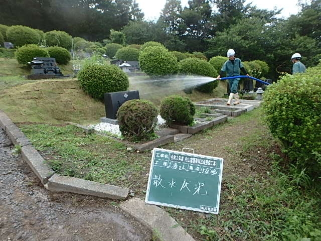 P7290410